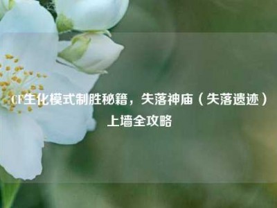 CF生化模式制胜秘籍，失落神庙（失落遗迹）上墙全攻略