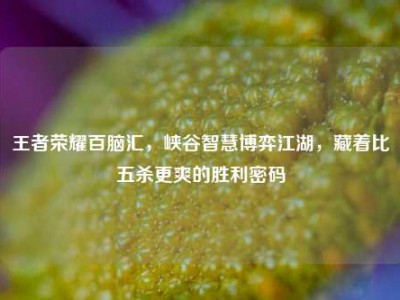 王者荣耀百脑汇，峡谷智慧博弈江湖，藏着比五杀更爽的胜利密码