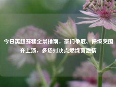 今日英超赛程全景指南，豪门争冠、保级突围齐上演，多场对决点燃绿茵激情