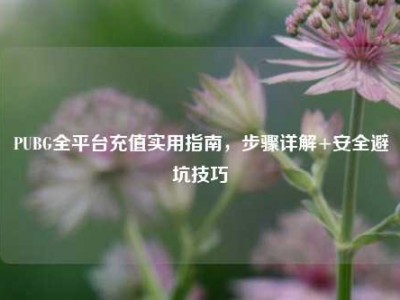 PUBG全平台充值实用指南，步骤详解+安全避坑技巧