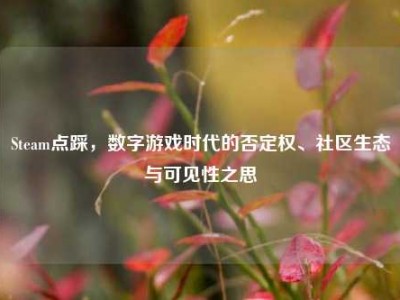 Steam点踩，数字游戏时代的否定权、社区生态与可见性之思