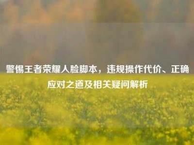 警惕王者荣耀人脸脚本，违规操作代价、正确应对之道及相关疑问解析