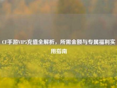 CF手游VIP5充值全解析，所需金额与专属福利实用指南