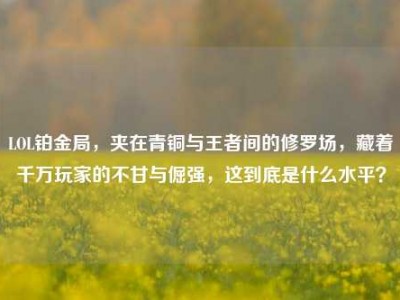 LOL铂金局，夹在青铜与王者间的修罗场，藏着千万玩家的不甘与倔强，这到底是什么水平？