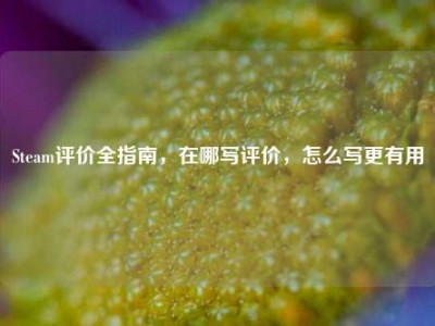 Steam评价全指南，在哪写评价，怎么写更有用