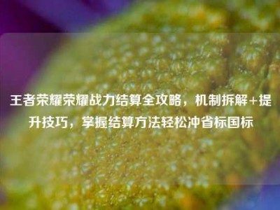 王者荣耀荣耀战力结算全攻略，机制拆解+提升技巧，掌握结算方法轻松冲省标国标