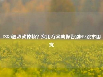 CSGO遇敌就掉帧？实用方案助你告别FPS跳水困扰