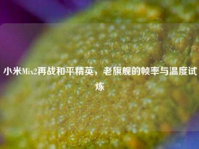 小米Mix2再战和平精英，老旗舰的帧率与温度试炼