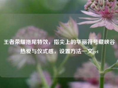 王者荣耀拖尾特效，指尖上的华丽符号藏峡谷热爱与仪式感，设置方法一文get