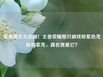 紫壳霸主火出圈！王者荣耀那只被戏称紫色龙虾的紫龙，真名竟是它？