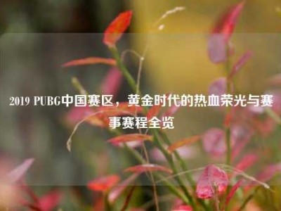 2019 PUBG中国赛区，黄金时代的热血荣光与赛事赛程全览