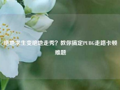 绝地求生变绝地走秀？教你搞定PUBG走路卡顿难题