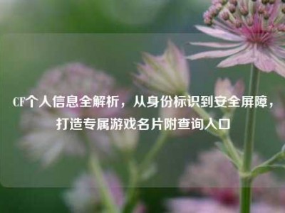 CF个人信息全解析，从身份标识到安全屏障，打造专属游戏名片附查询入口