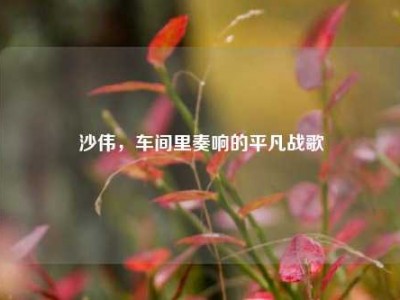 沙伟，车间里奏响的平凡战歌