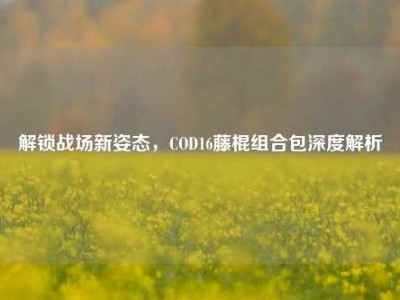 解锁战场新姿态，COD16藤棍组合包深度解析