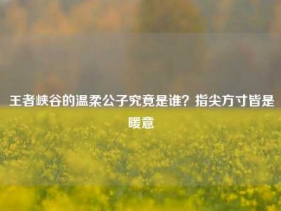 王者峡谷的温柔公子究竟是谁？指尖方寸皆是暖意