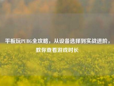 平板玩PUBG全攻略，从设备选择到实战进阶，教你查看游戏时长