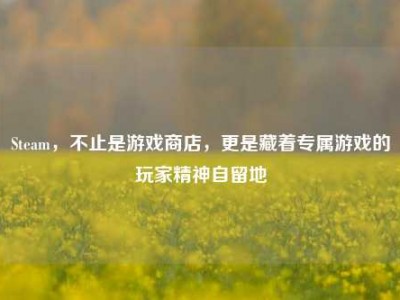 Steam，不止是游戏商店，更是藏着专属游戏的玩家精神自留地