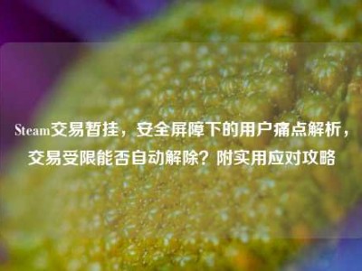 Steam交易暂挂，安全屏障下的用户痛点解析，交易受限能否自动解除？附实用应对攻略