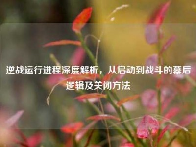 逆战运行进程深度解析，从启动到战斗的幕后逻辑及关闭方法