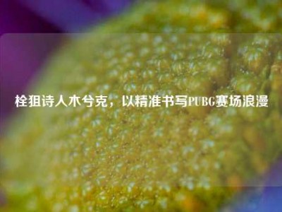 栓狙诗人木兮克，以精准书写PUBG赛场浪漫