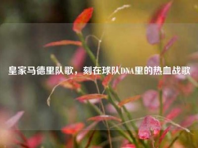 皇家马德里队歌，刻在球队DNA里的热血战歌
