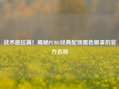 战术感拉满！揭秘PUBG经典配饰黑色眼罩的官方名称
