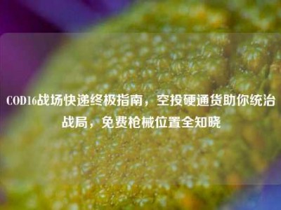 COD16战场快递终极指南，空投硬通货助你统治战局，免费枪械位置全知晓