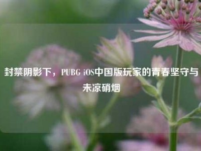 封禁阴影下，PUBG iOS中国版玩家的青春坚守与未凉硝烟