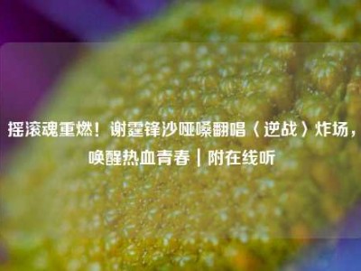 摇滚魂重燃！谢霆锋沙哑嗓翻唱〈逆战〉炸场，唤醒热血青春｜附在线听