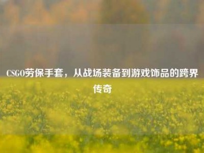 CSGO劳保手套，从战场装备到游戏饰品的跨界传奇