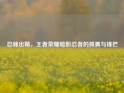忍峰出鞘，王者荣耀暗影忍者的孤勇与锋芒