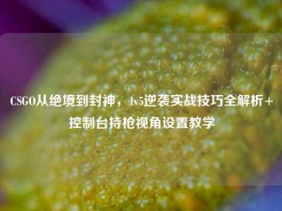 CSGO从绝境到封神，1v5逆袭实战技巧全解析+控制台持枪视角设置教学