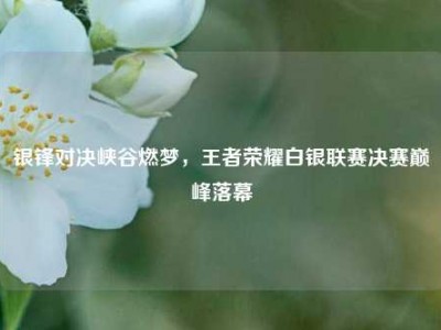 银锋对决峡谷燃梦，王者荣耀白银联赛决赛巅峰落幕