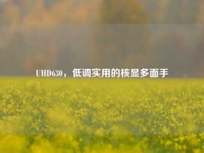 UHD630，低调实用的核显多面手