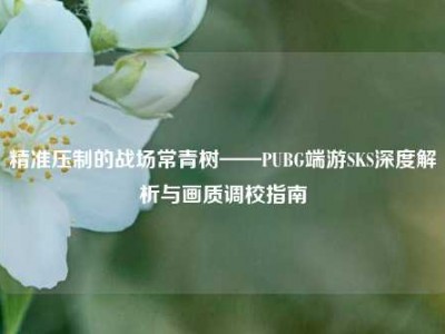 精准压制的战场常青树——PUBG端游SKS深度解析与画质调校指南
