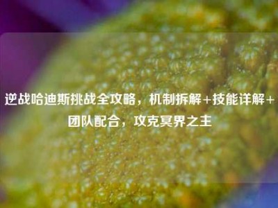 逆战哈迪斯挑战全攻略，机制拆解+技能详解+团队配合，攻克冥界之主