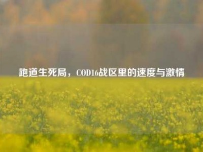 跑道生死局，COD16战区里的速度与激情