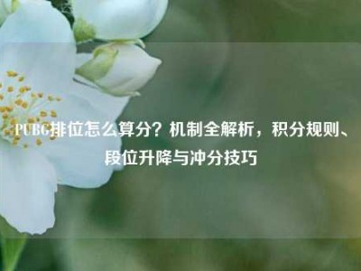 PUBG排位怎么算分？机制全解析，积分规则、段位升降与冲分技巧
