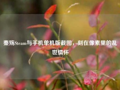 秦殇Steam与手机单机版截图，刻在像素里的乱世情怀