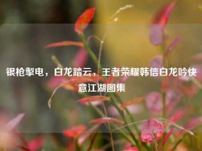 银枪掣电，白龙踏云，王者荣耀韩信白龙吟快意江湖图集