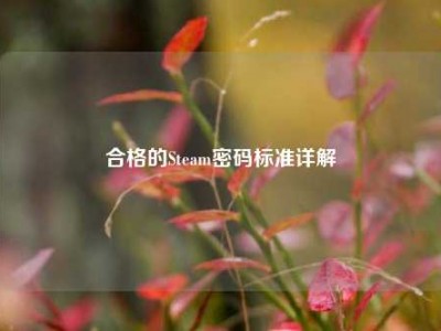 合格的Steam密码标准详解