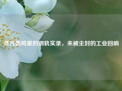 蒸汽轰鸣里的钢轨实录，未被尘封的工业回响