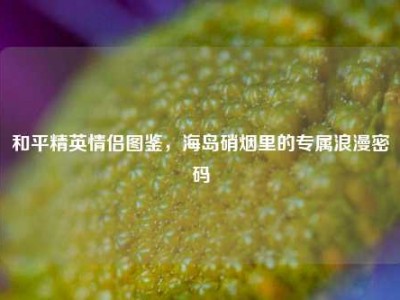 和平精英情侣图鉴，海岛硝烟里的专属浪漫密码