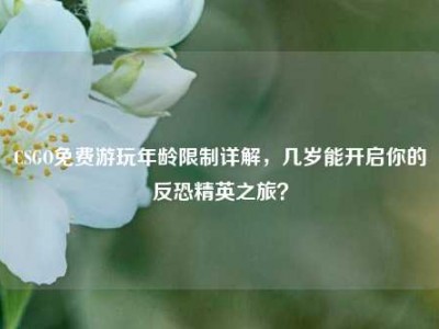 CSGO免费游玩年龄限制详解，几岁能开启你的反恐精英之旅？