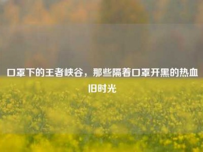 口罩下的王者峡谷，那些隔着口罩开黑的热血旧时光
