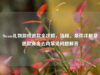 Steam礼物游戏退款全攻略，流程、条件详解及退款资金去向常见问题解答
