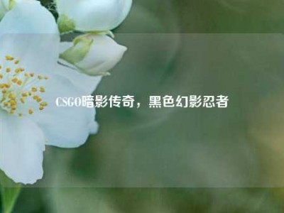 CSGO暗影传奇，黑色幻影忍者