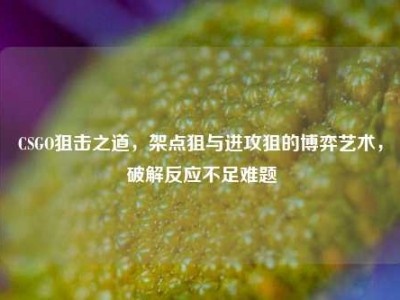 CSGO狙击之道，架点狙与进攻狙的博弈艺术，破解反应不足难题