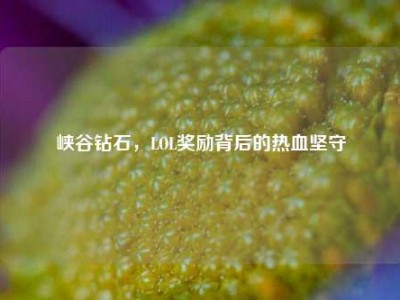 峡谷钻石，LOL奖励背后的热血坚守